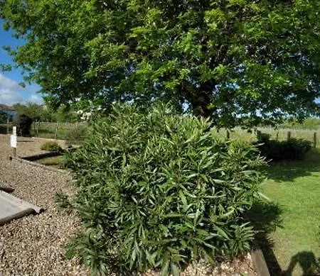 Vakantiehuis L'alambic Gondeville